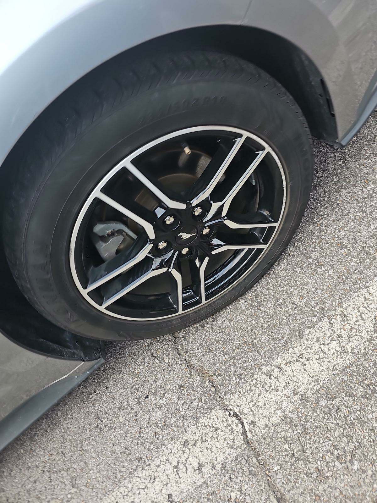 2022 Ford Mustang EcoBoost Premium RWD