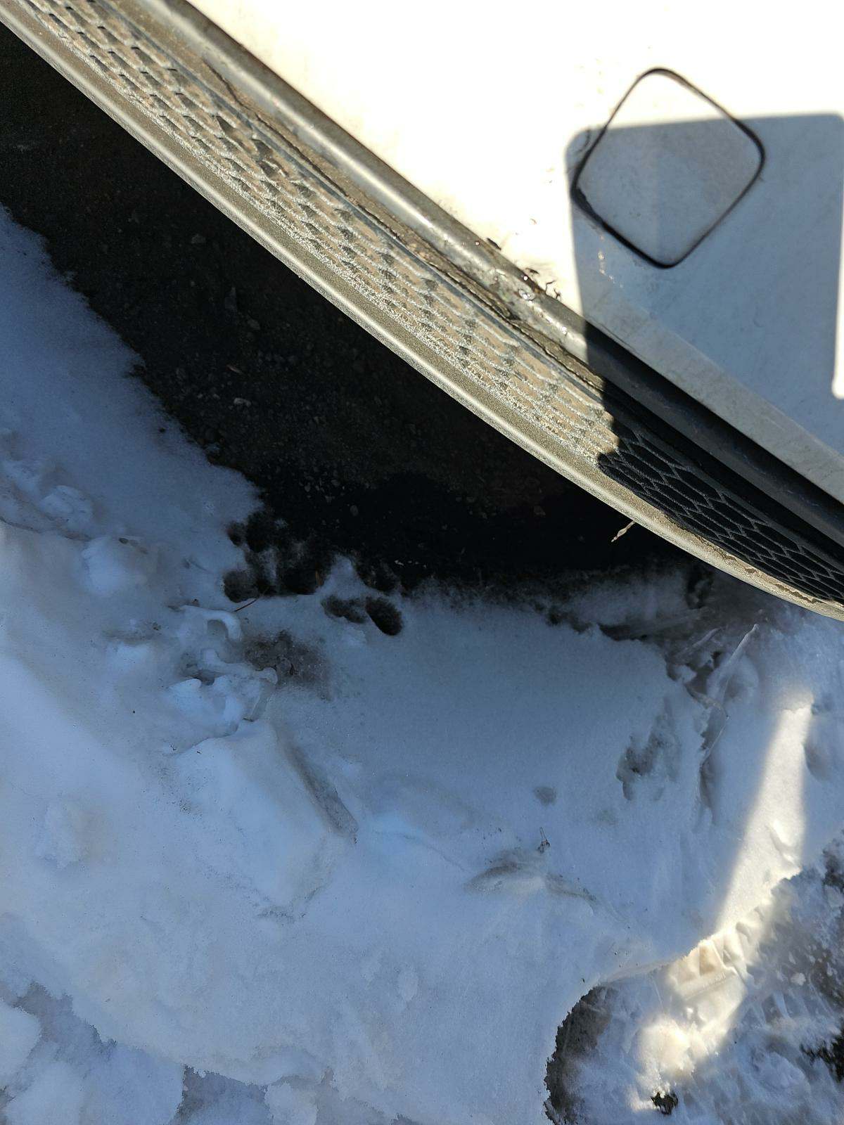 2016 Audi A4 2.0T Premium Plus AWD