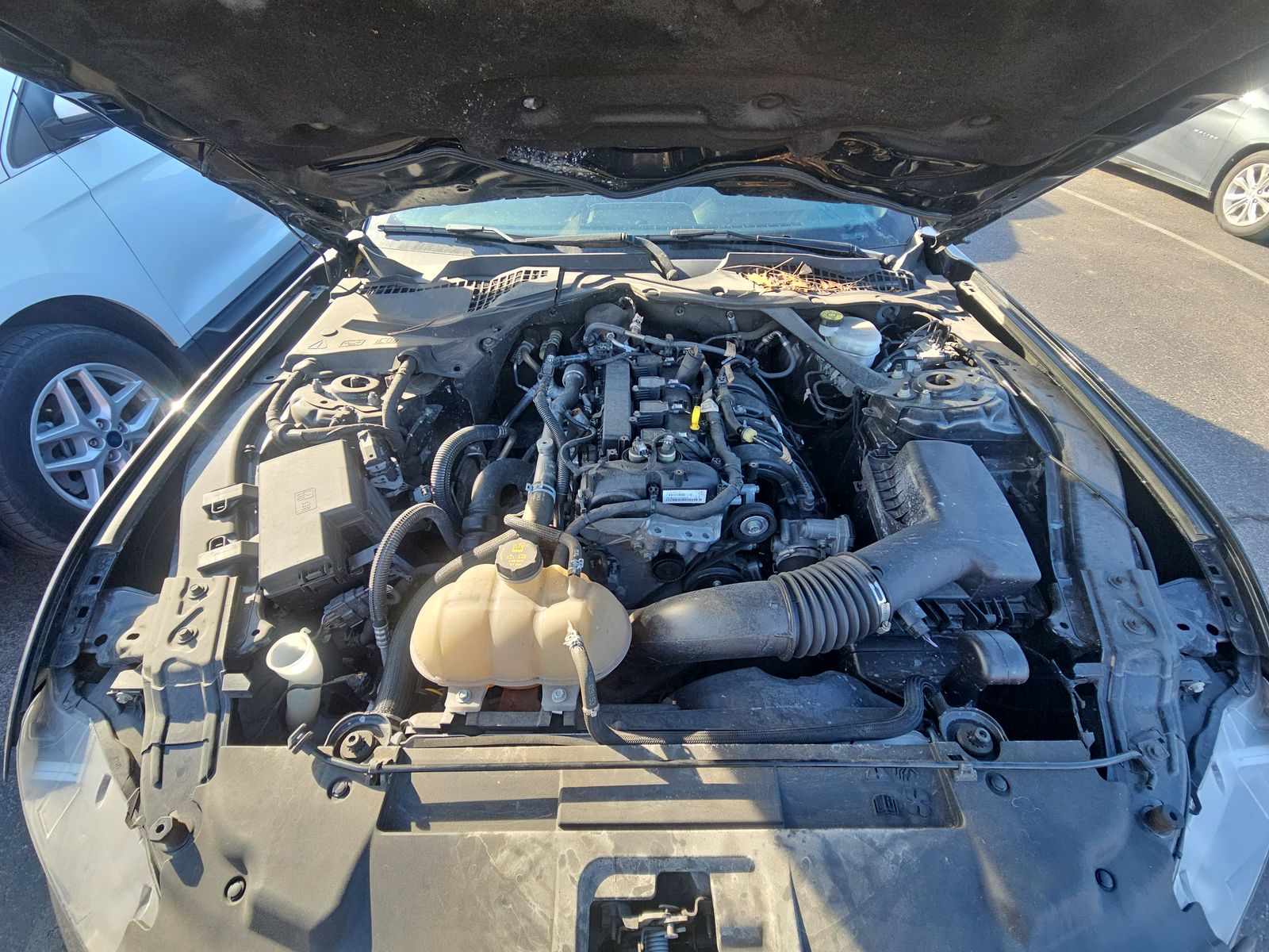 2022 Ford Mustang EcoBoost Premium RWD