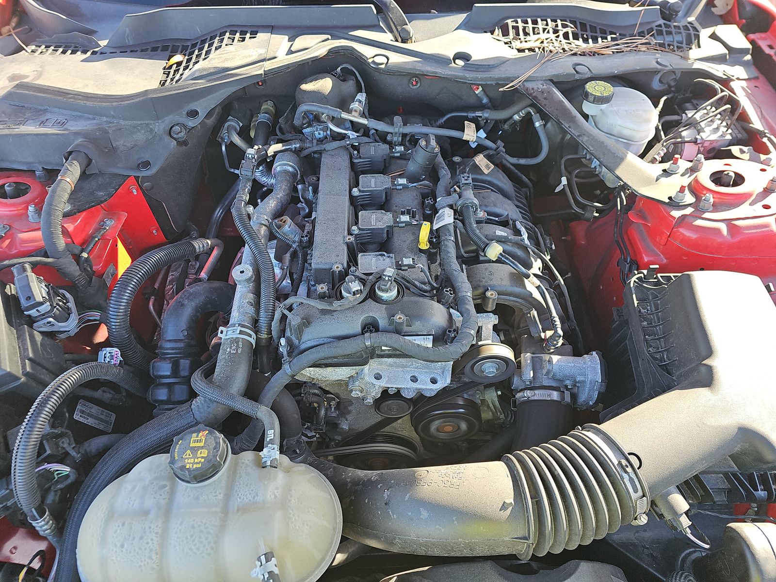 2022 Ford Mustang EcoBoost Premium RWD