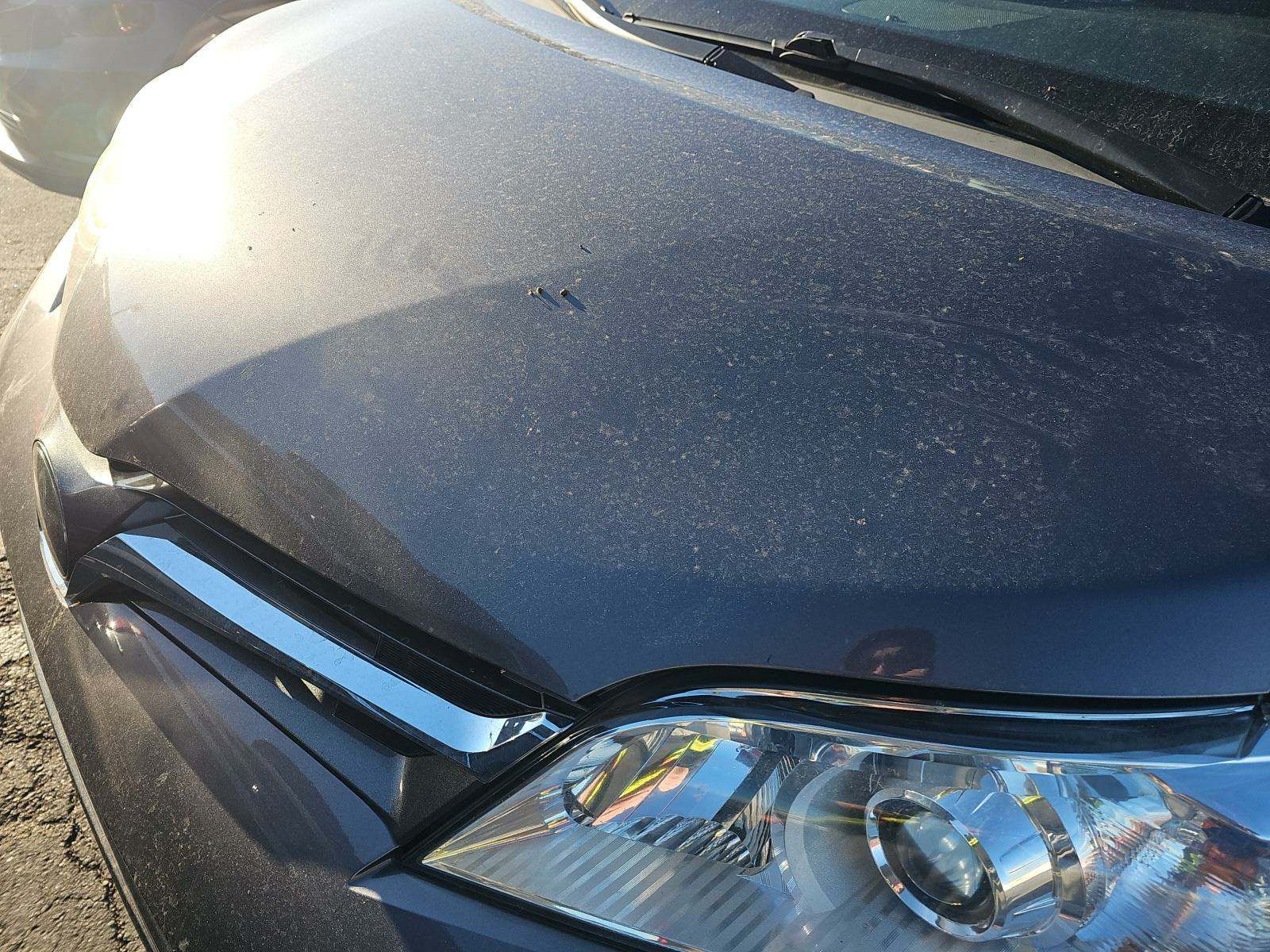 2020 Toyota Sienna XLE FWD