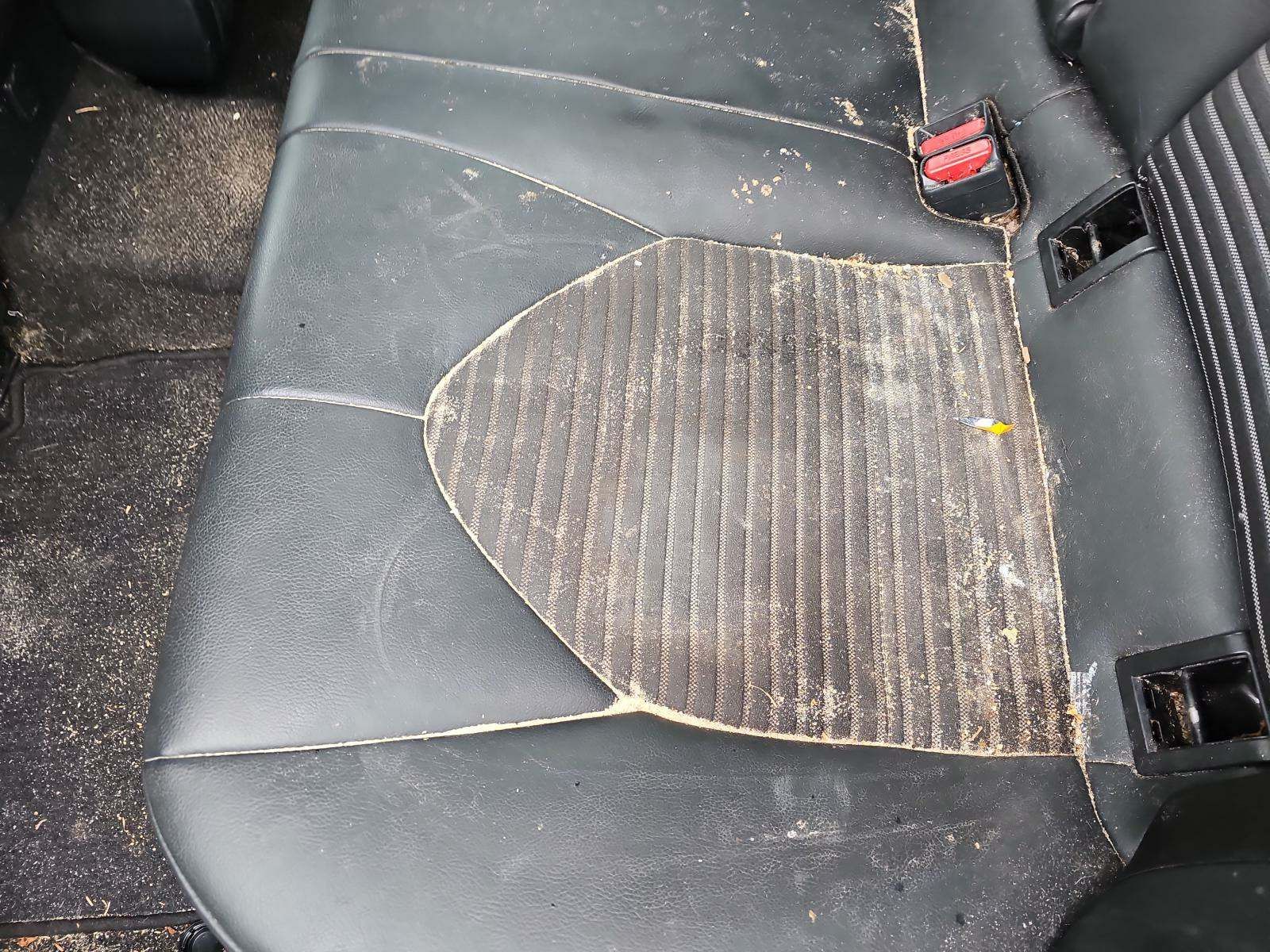 2022 Toyota Camry SE FWD