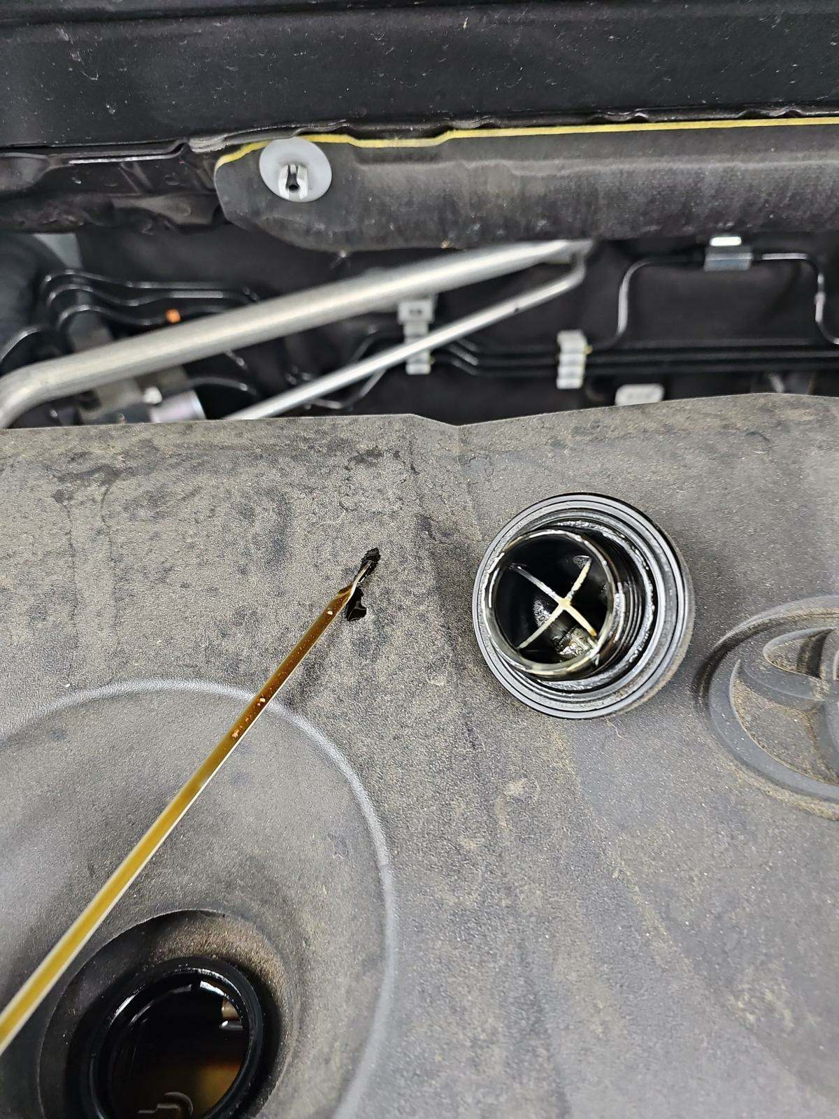 2021 Toyota Venza XLE AWD