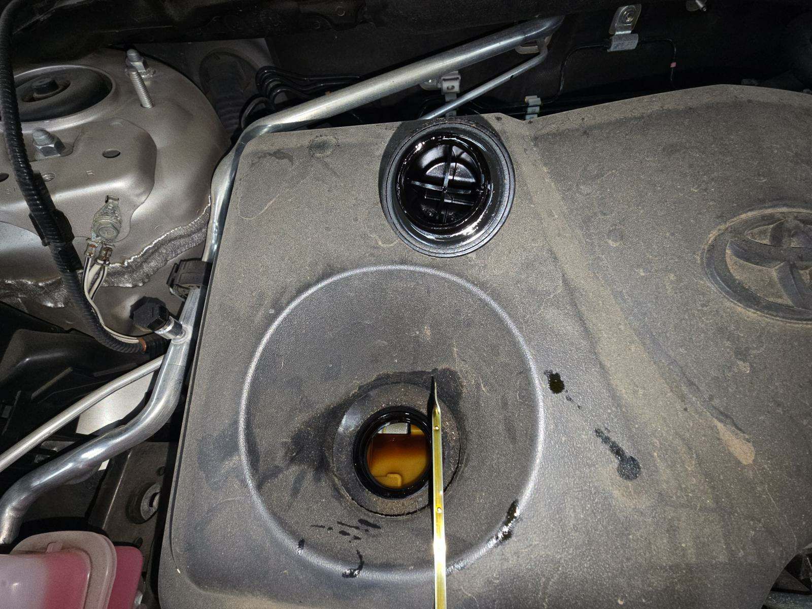 2021 Toyota Venza Limited AWD