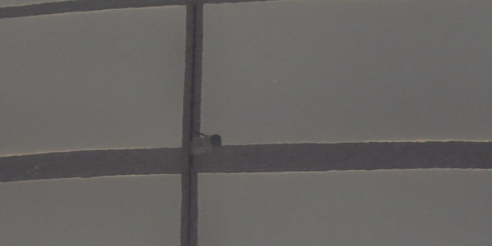 2020 Land Rover Range Rover Evoque SE AWD