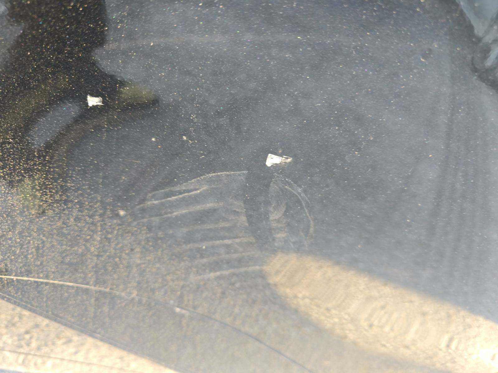 2022 Lexus IS IS 350 F SPORT RWD