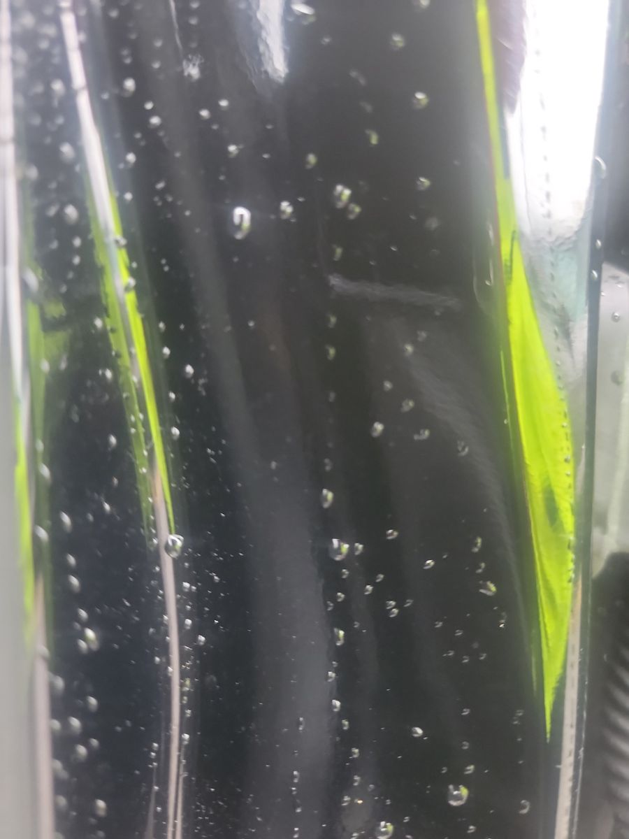 2020 Land Rover Range Rover Evoque SE AWD