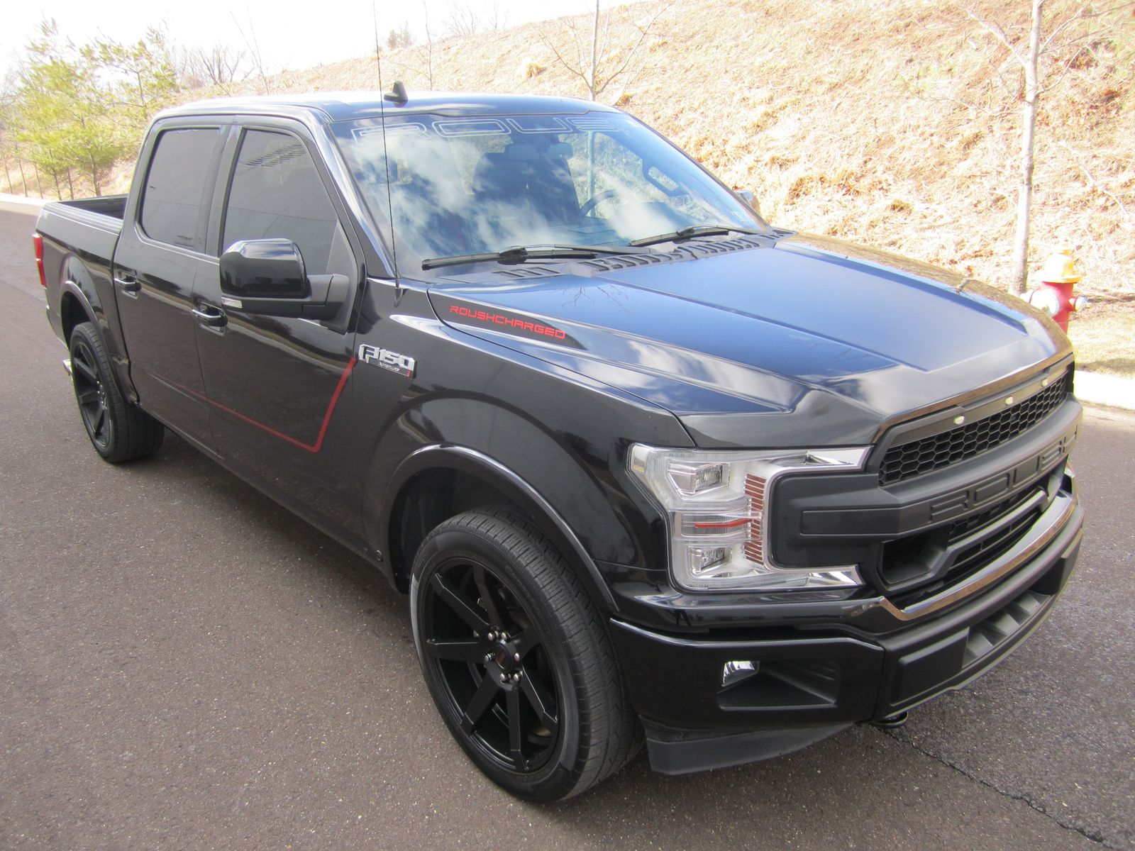 FORD F-150 - 4