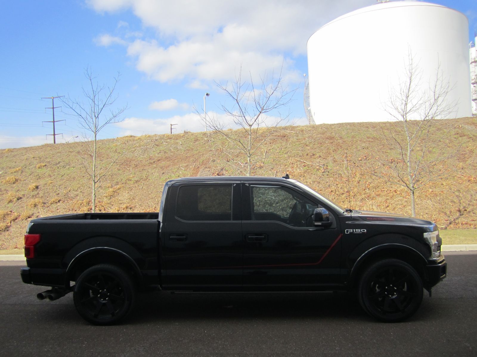 FORD F-150 - 10