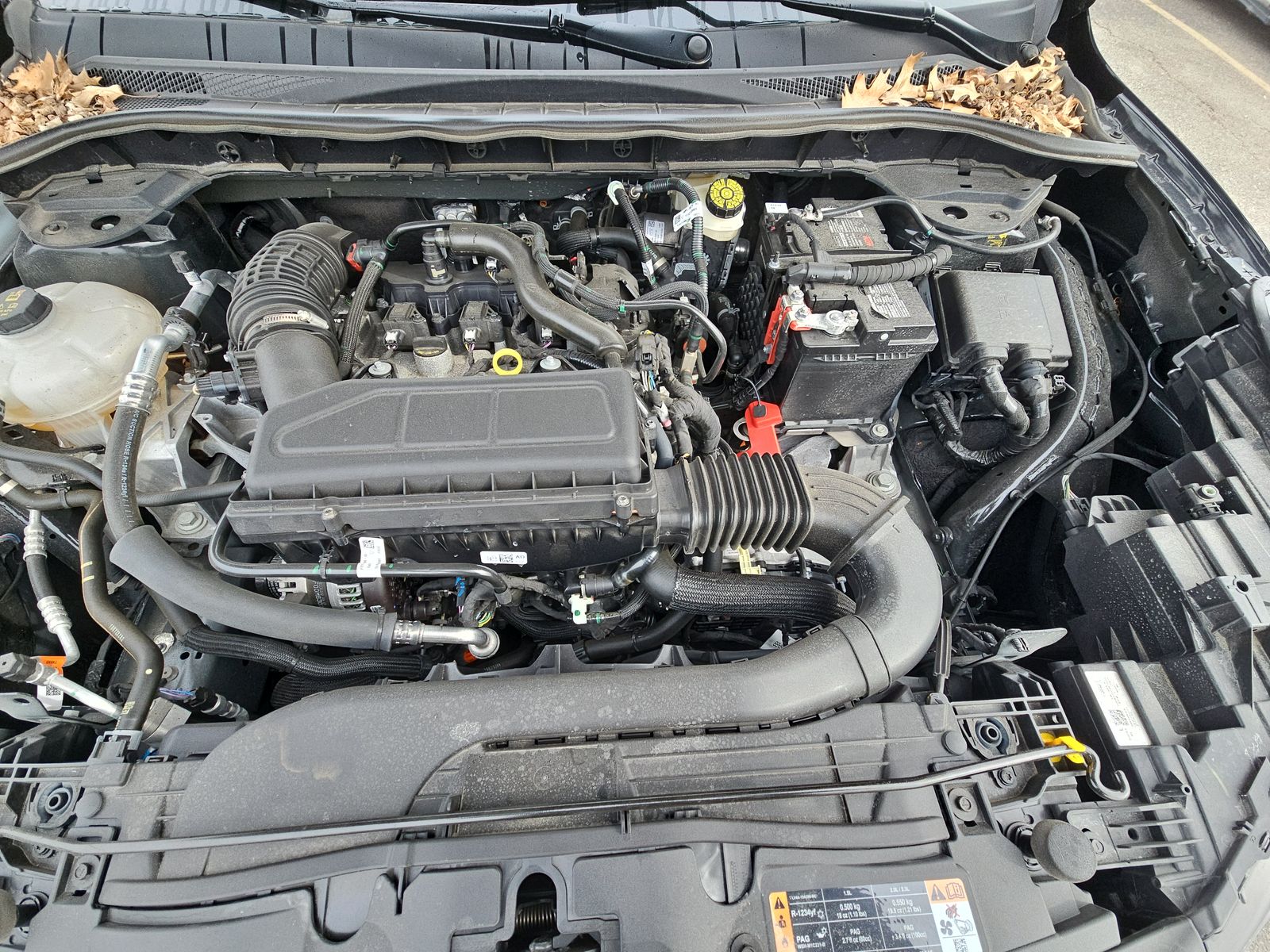 2023 Ford Escape ST-Line FWD