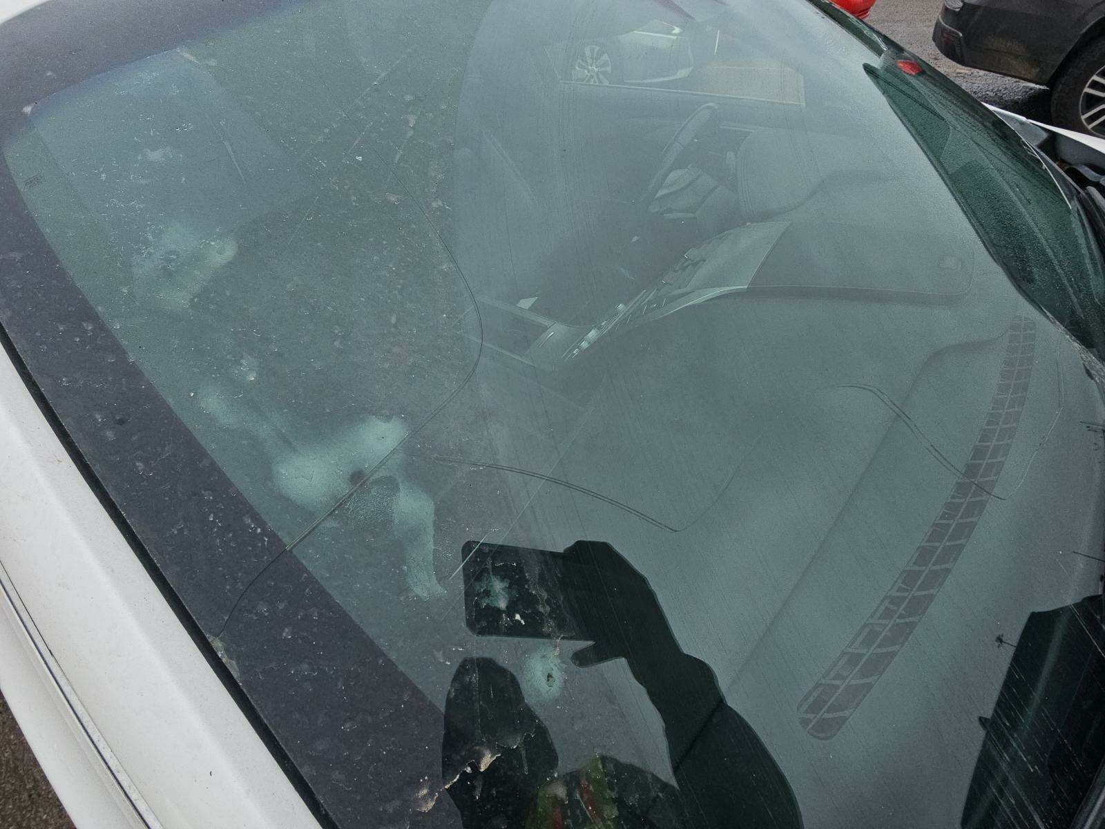 2019 Lincoln MKZ Standard FWD