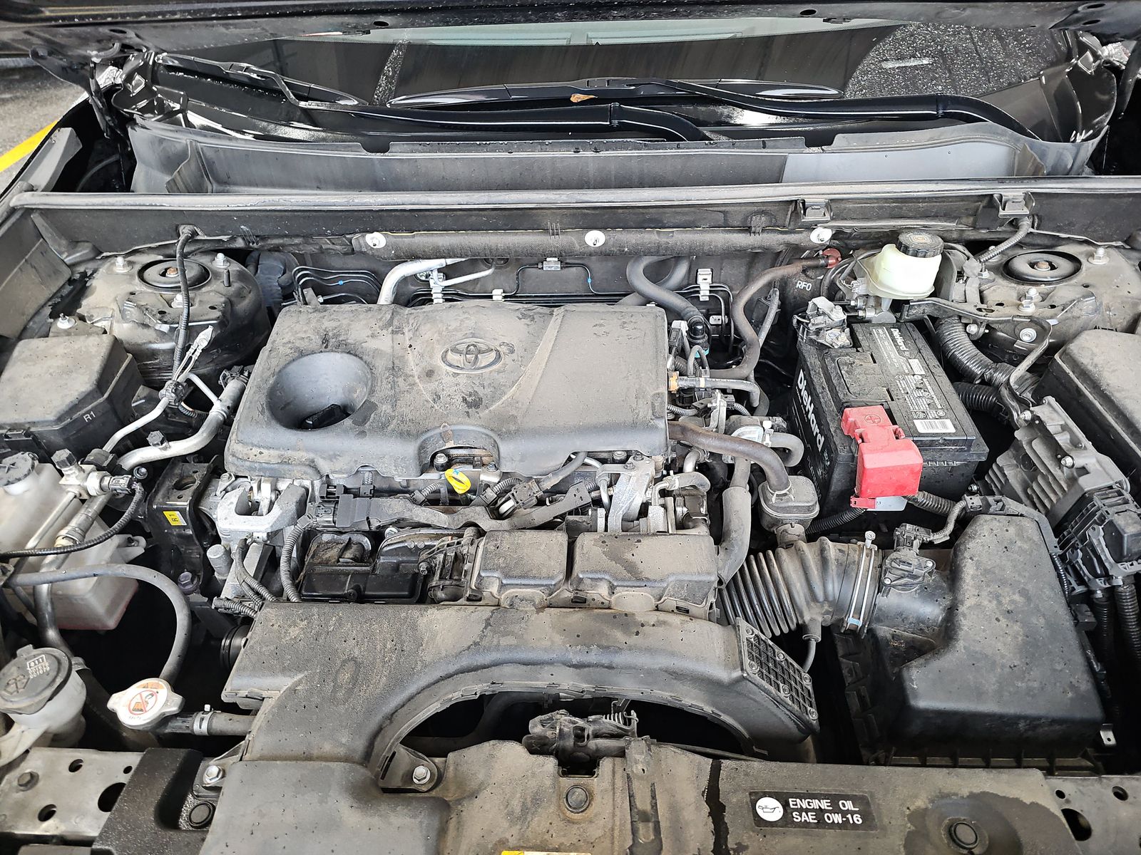 2020 Toyota RAV4 XLE Premium FWD