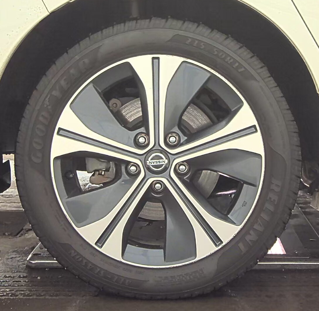 2020 Nissan LEAF SL PLUS FWD