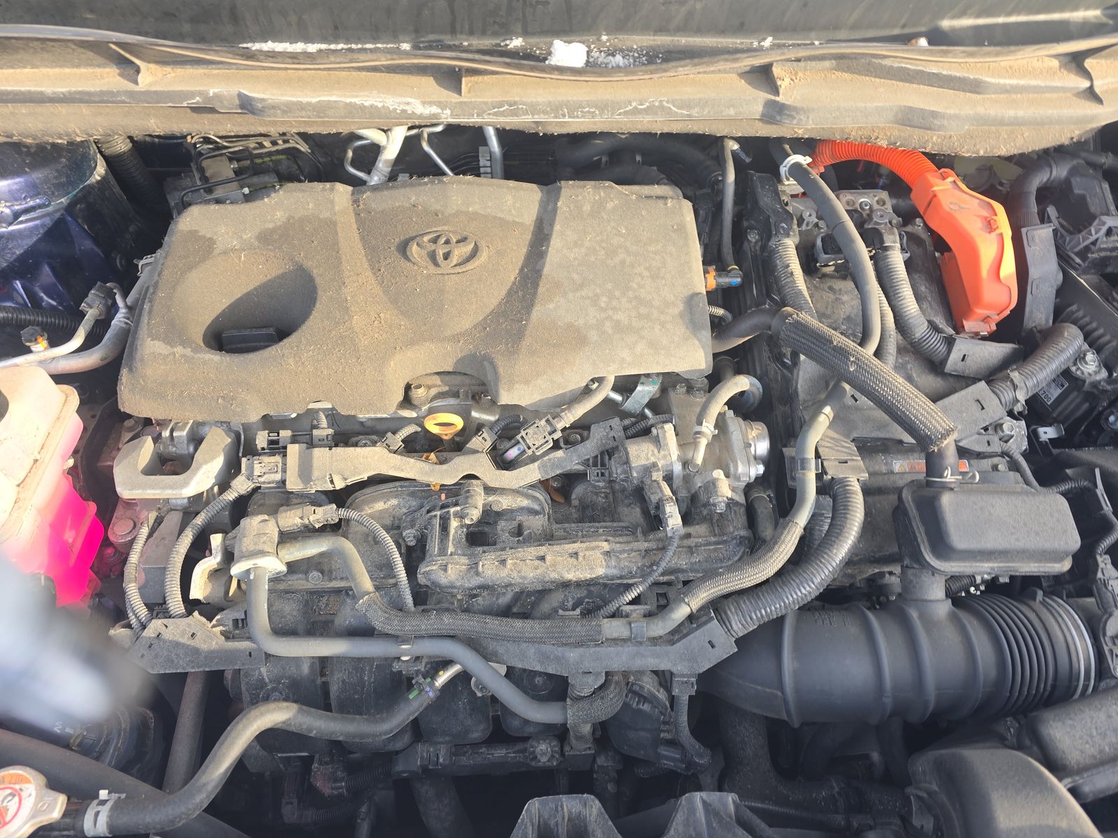 2022 Toyota Sienna LE AWD