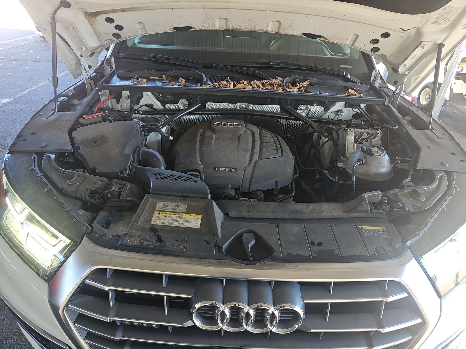 2019 Audi Q5 Premium Plus AWD