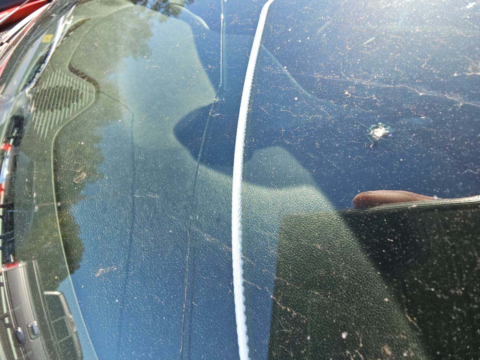 2019 Dodge Challenger SXT RWD