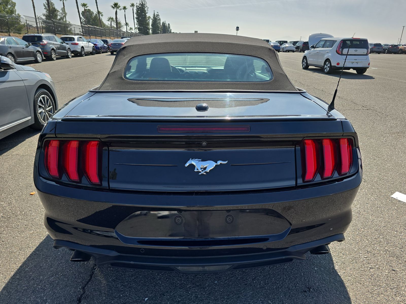 2022 Ford Mustang EcoBoost Premium RWD