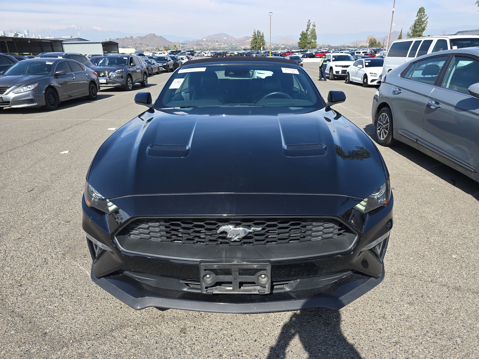 2022 Ford Mustang EcoBoost Premium RWD
