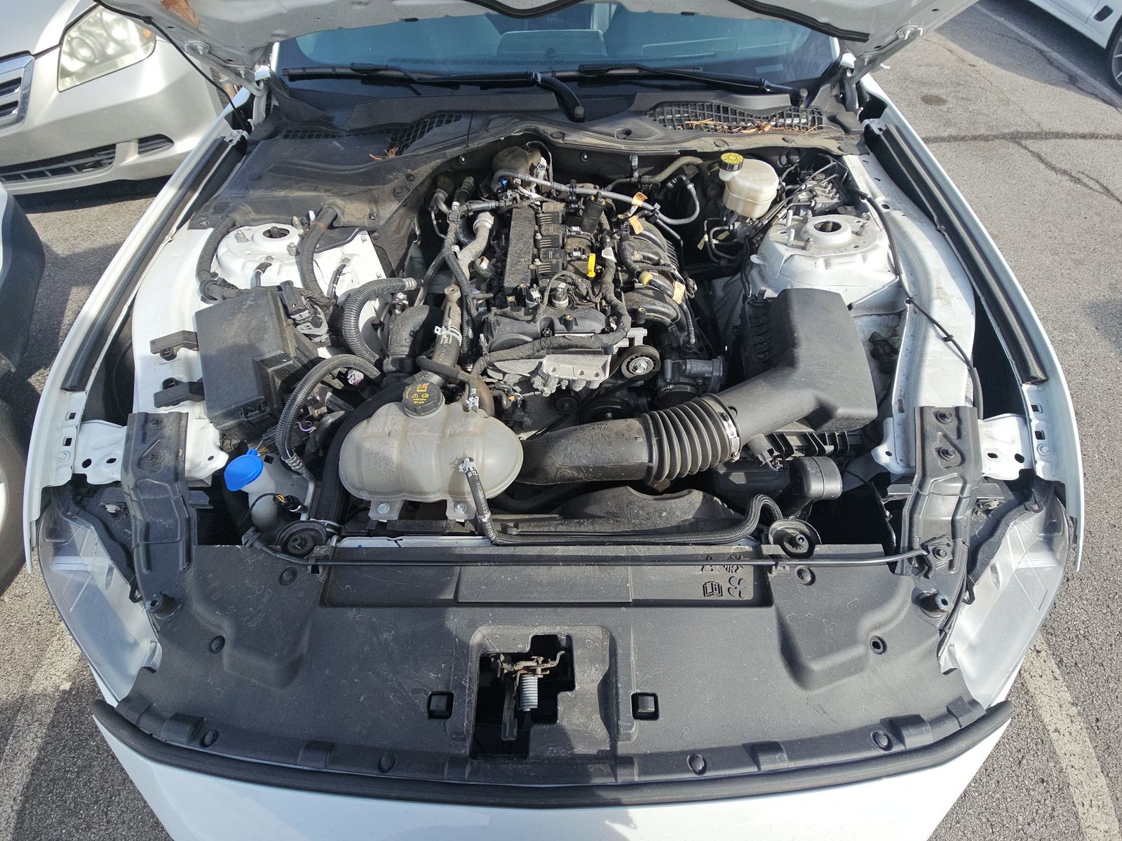 2023 Ford Mustang EcoBoost Premium RWD