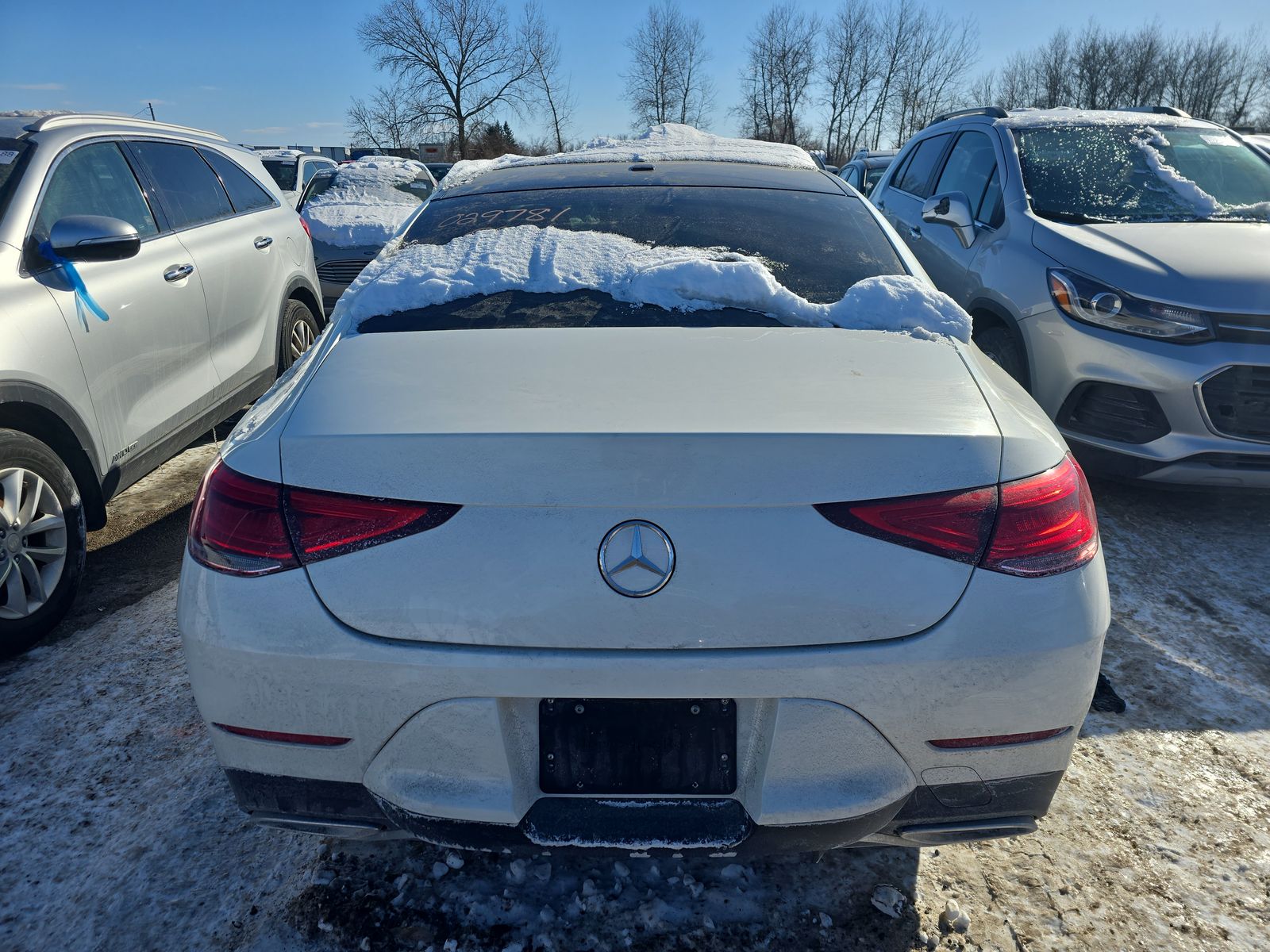 2019 Mercedes-Benz CLS-Class CLS 450 AWD