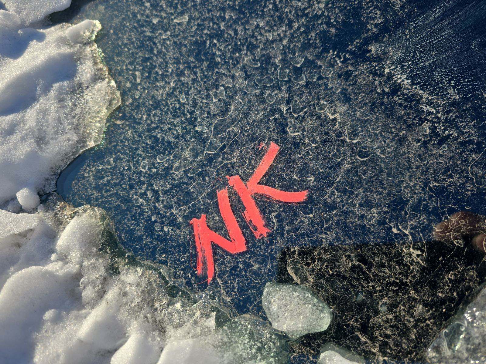 2019 Mercedes-Benz CLS-Class CLS 450 AWD