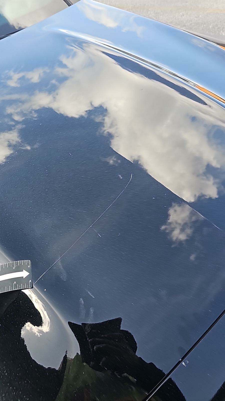 2023 Mercedes-Benz C-Class C 300 RWD