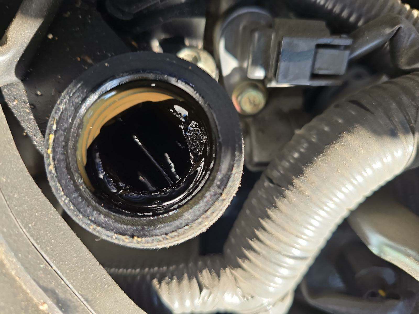 2020 Nissan Rogue Sport SL FWD