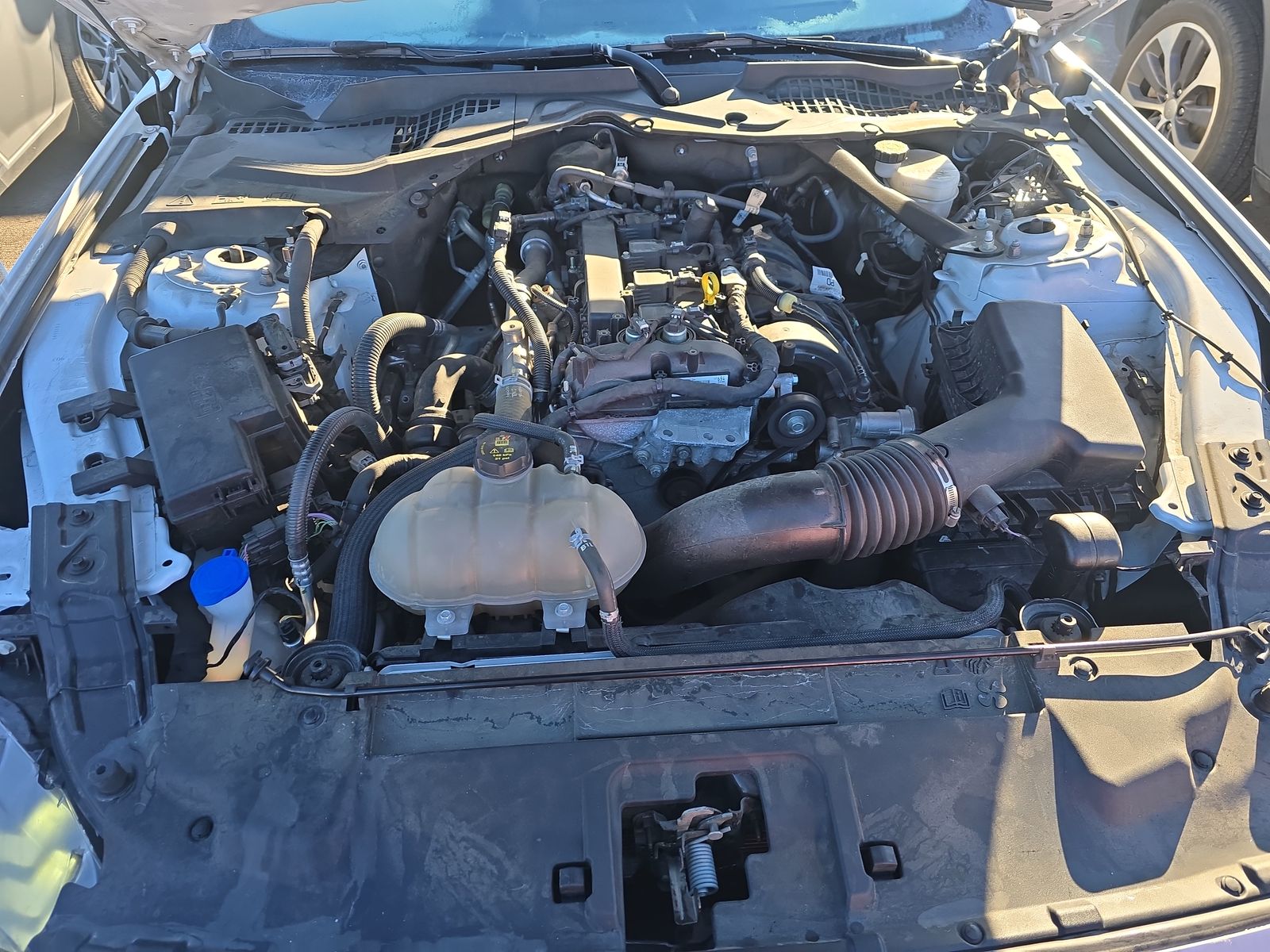 2022 Ford Mustang EcoBoost Premium RWD