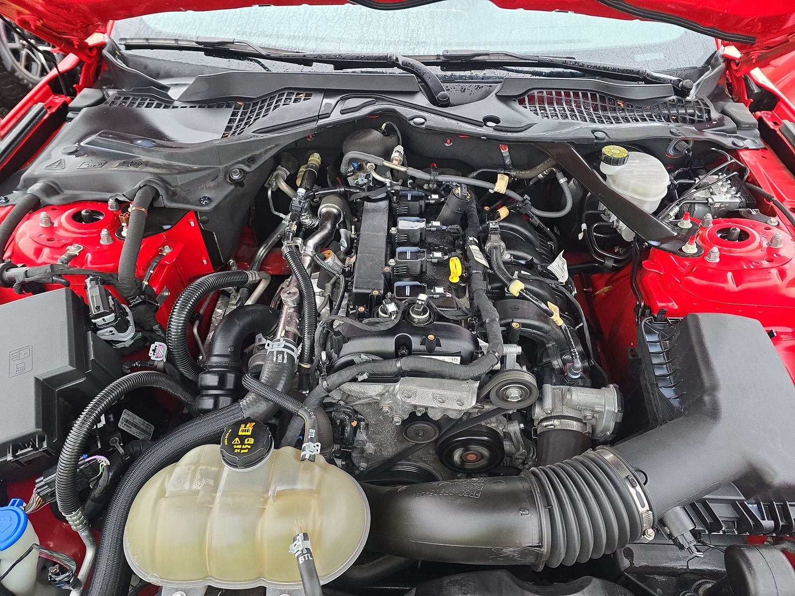 2022 Ford Mustang EcoBoost Premium RWD