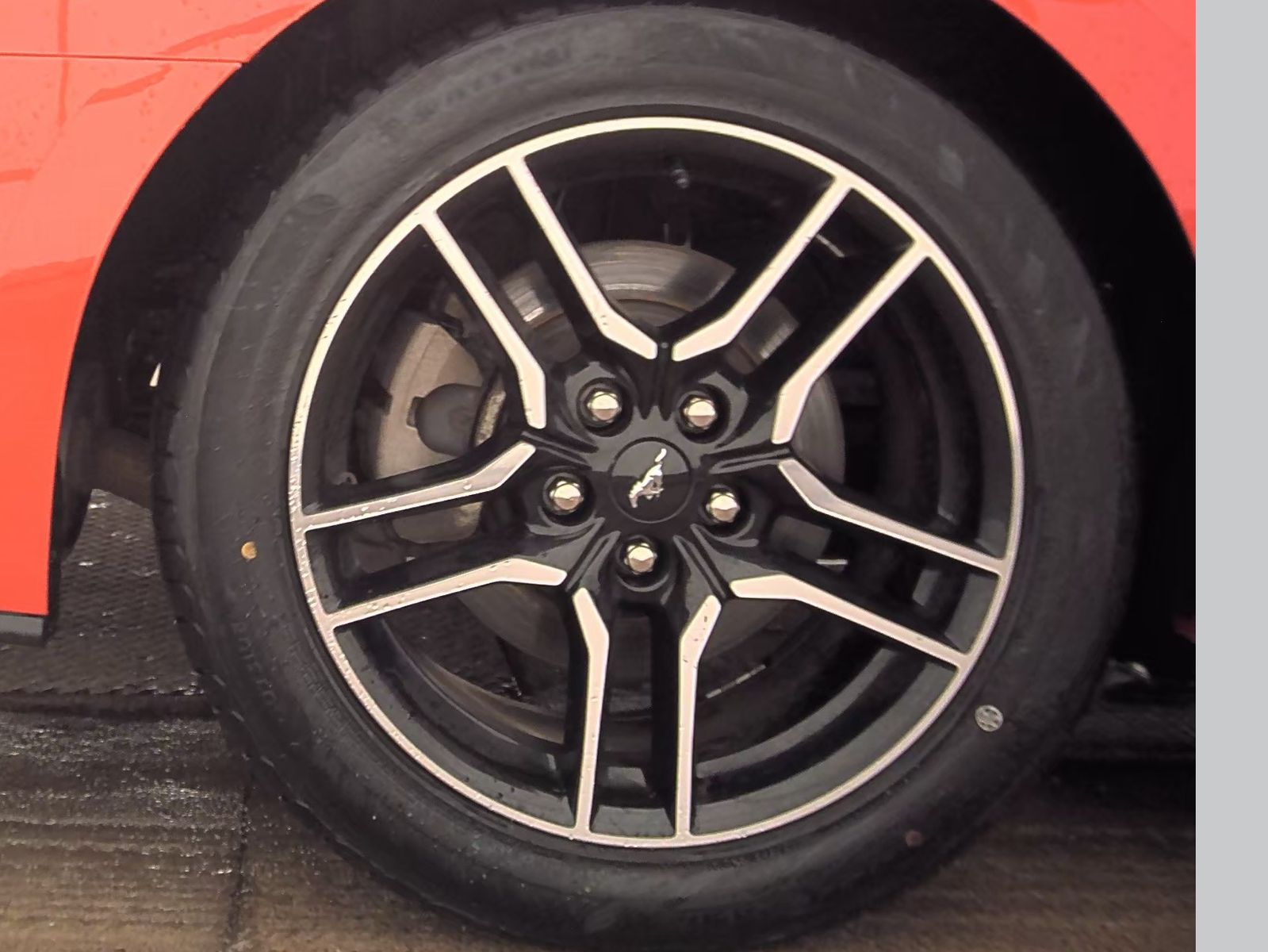 2022 Ford Mustang EcoBoost Premium RWD