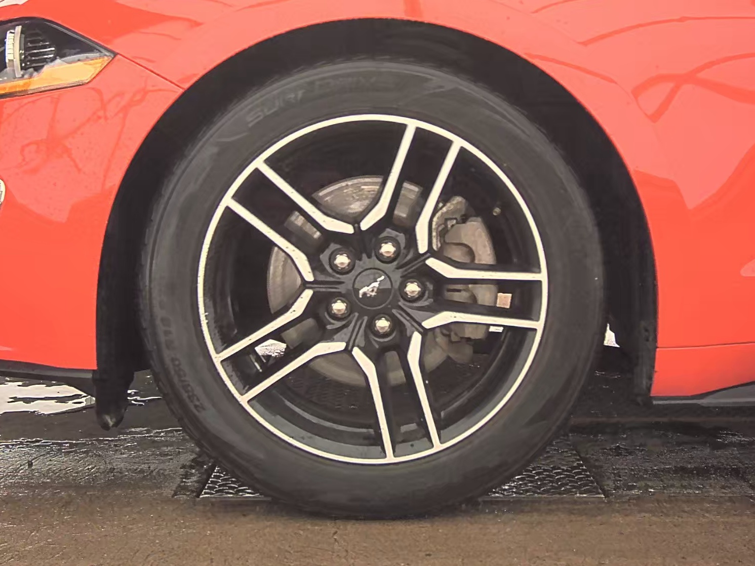 2022 Ford Mustang EcoBoost Premium RWD