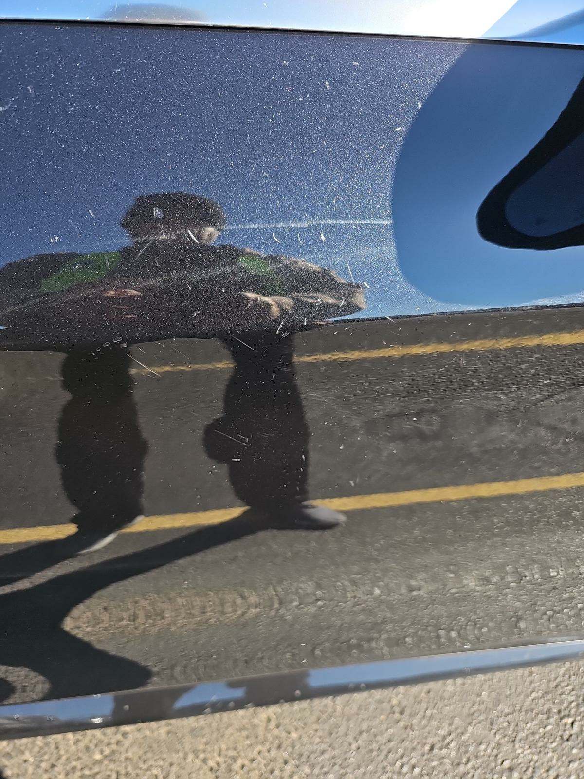 2019 Mercedes-Benz S-Class S 560 RWD