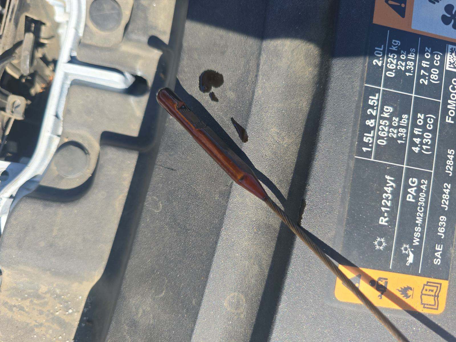 2019 Ford Escape SE FWD