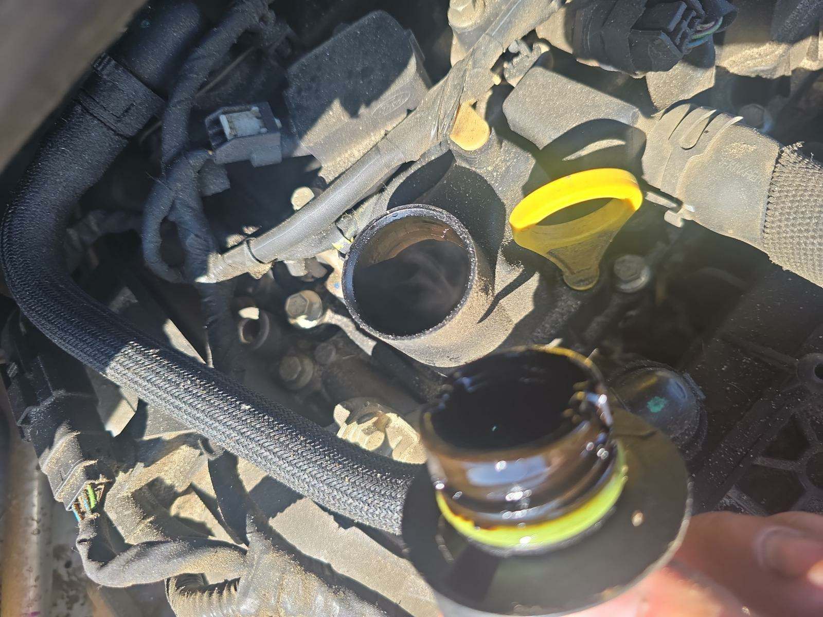 2019 Ford Escape SE FWD