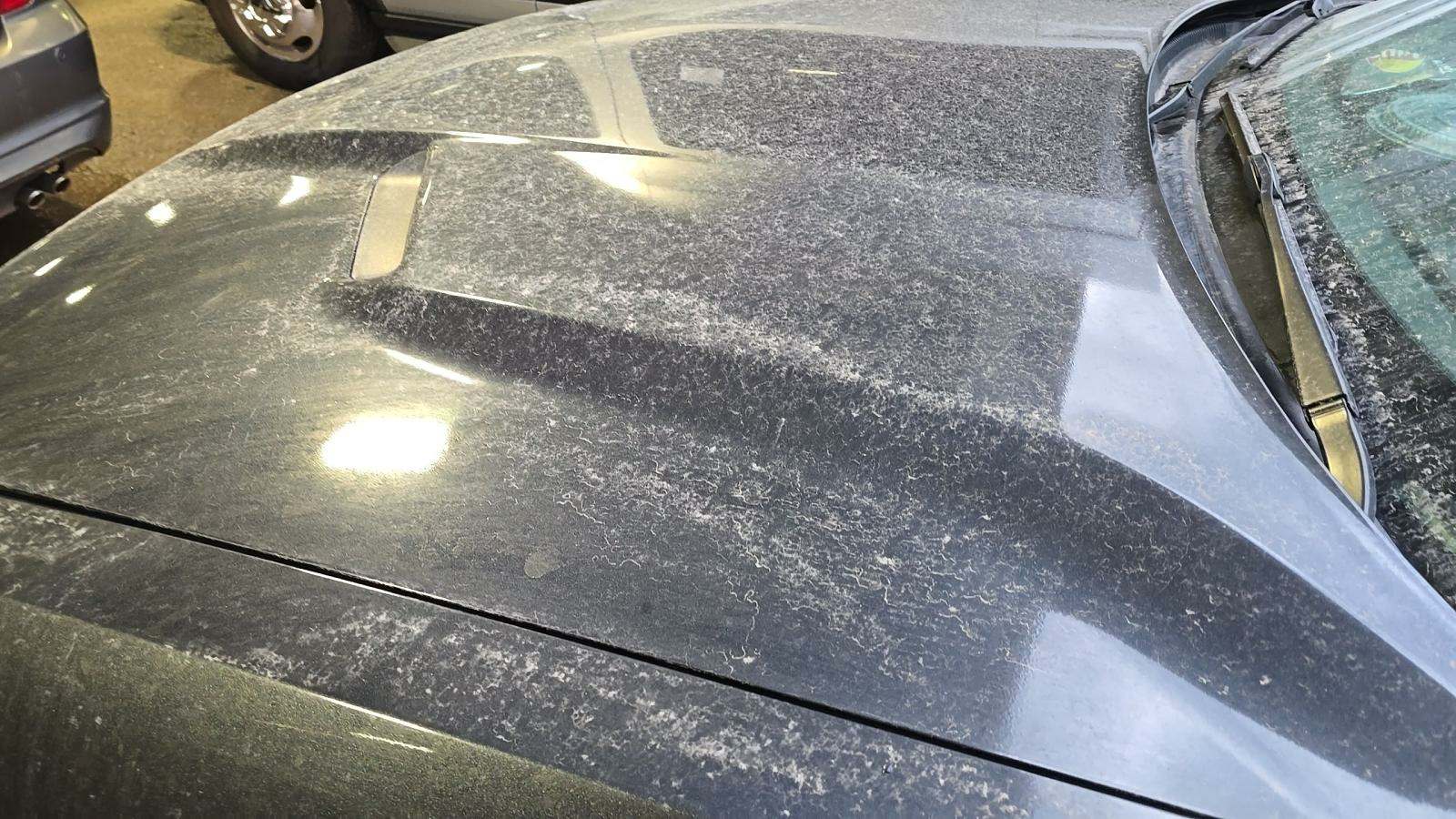 2018 Dodge Challenger SXT Plus RWD