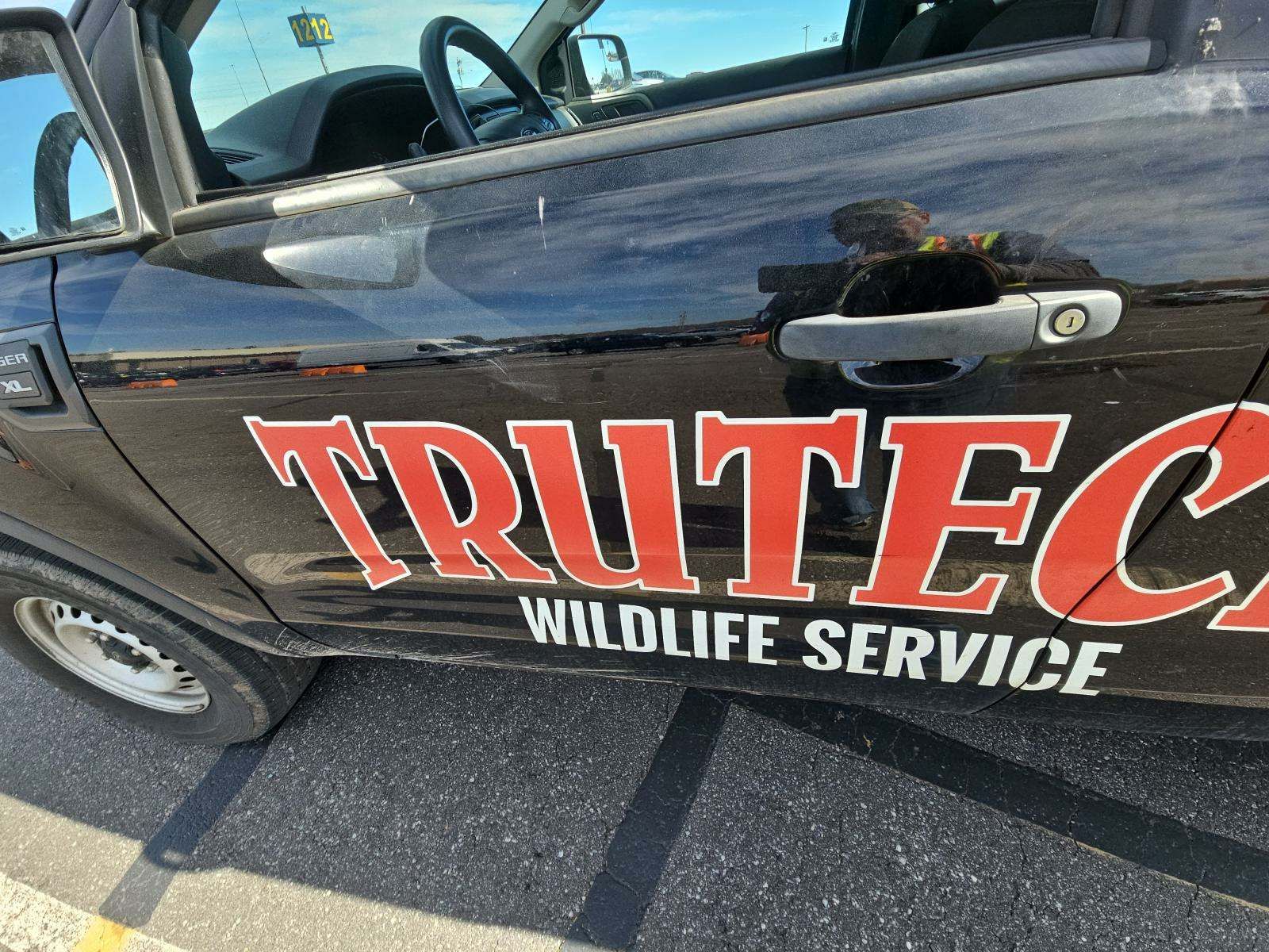 2022 Ford Ranger XL RWD