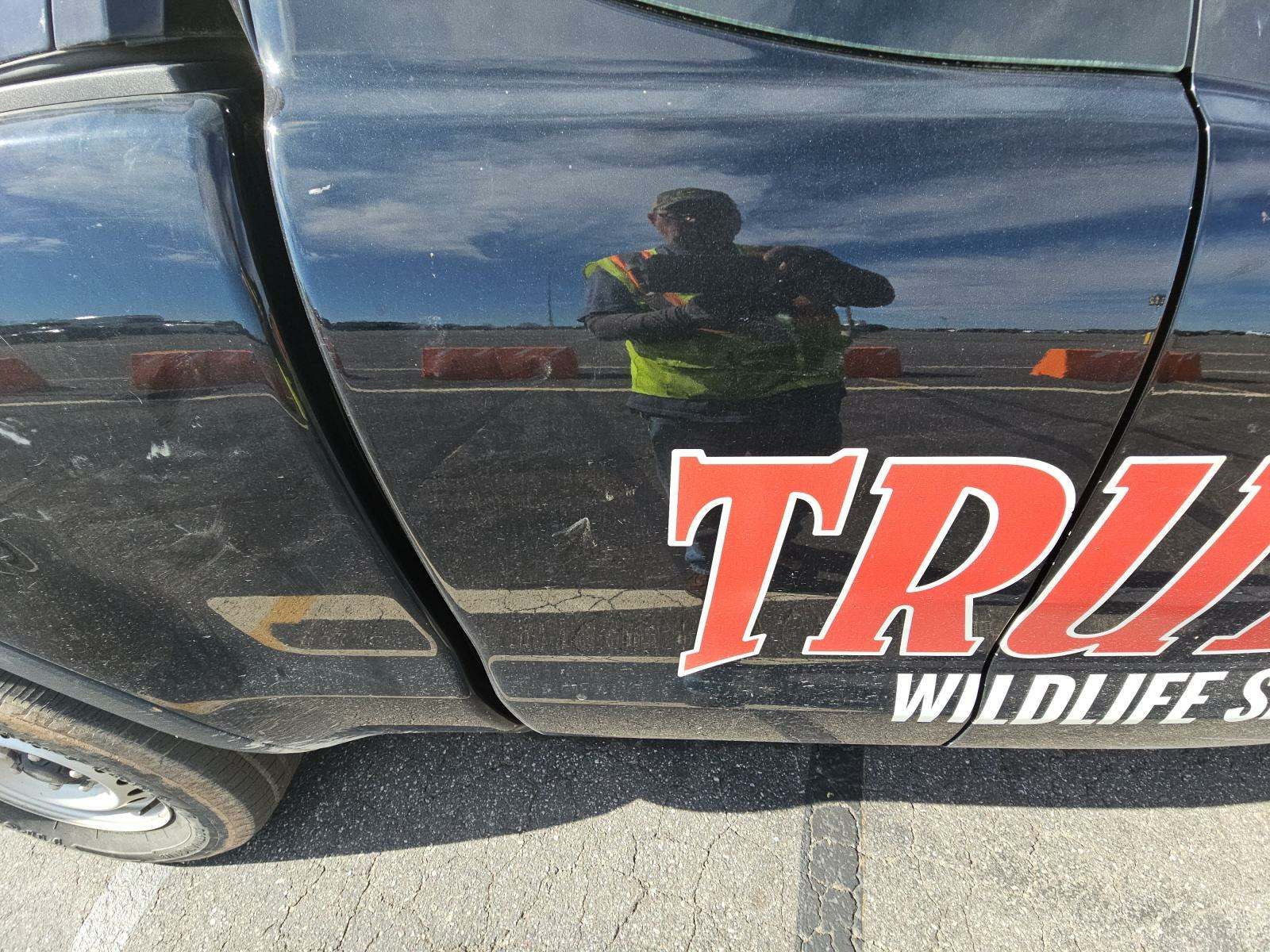 2022 Ford Ranger XL RWD