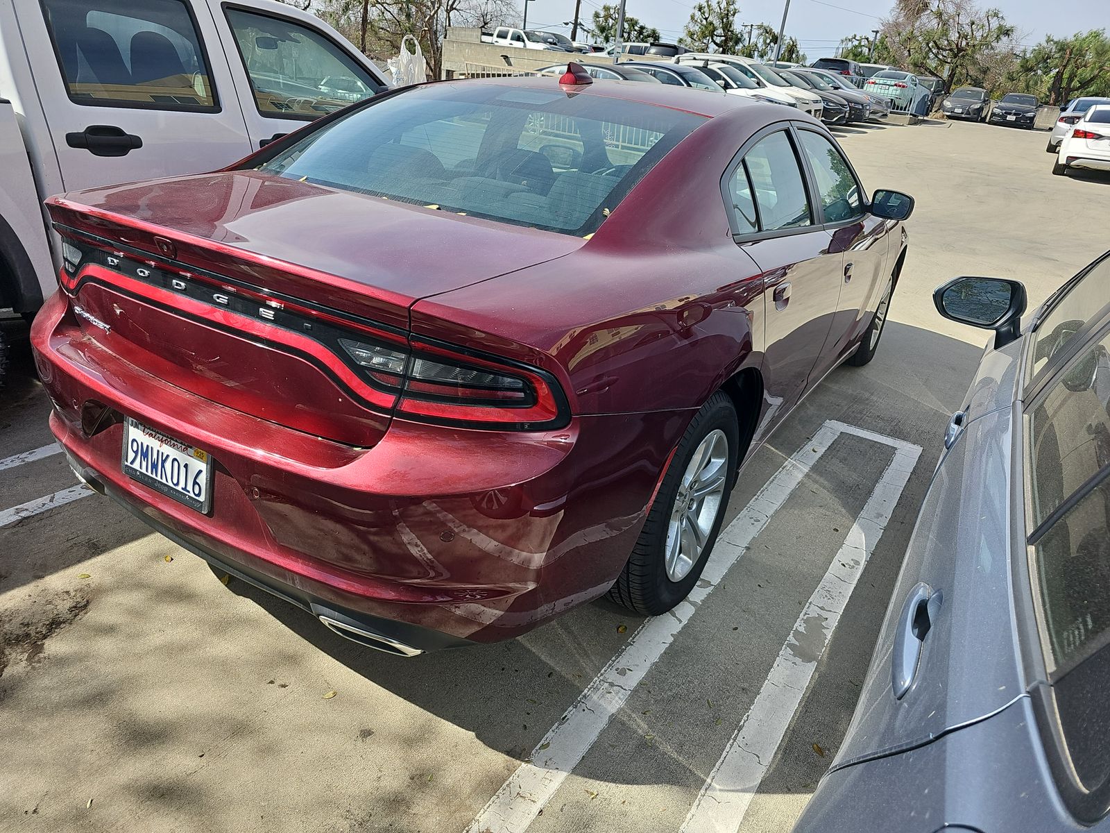 2023 Dodge Charger SXT RWD