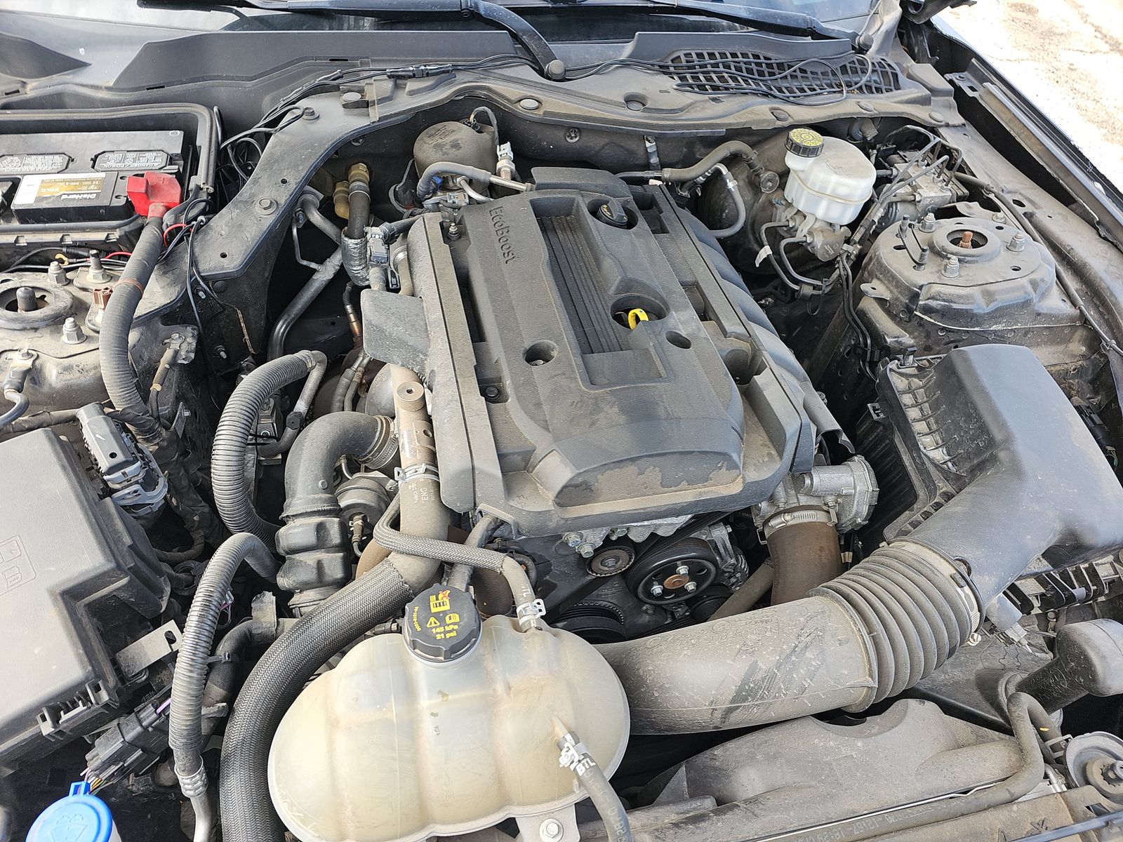 2020 Ford Mustang EcoBoost RWD