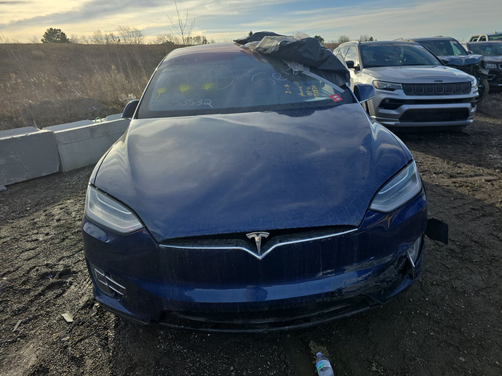 2017 Tesla Model X P100D AWD