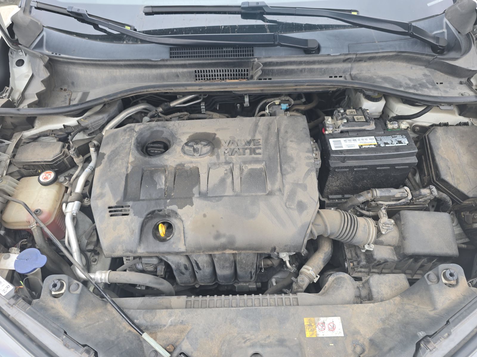 2018 Toyota C-HR XLE FWD