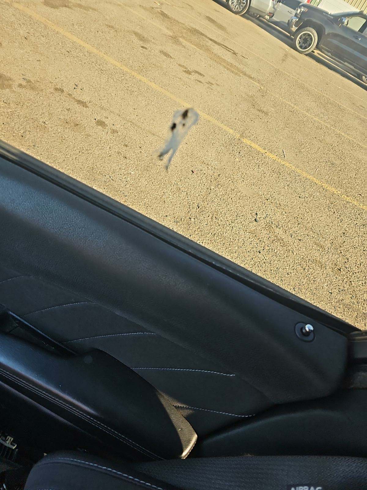 2017 Dodge Charger R/T Scat Pack RWD