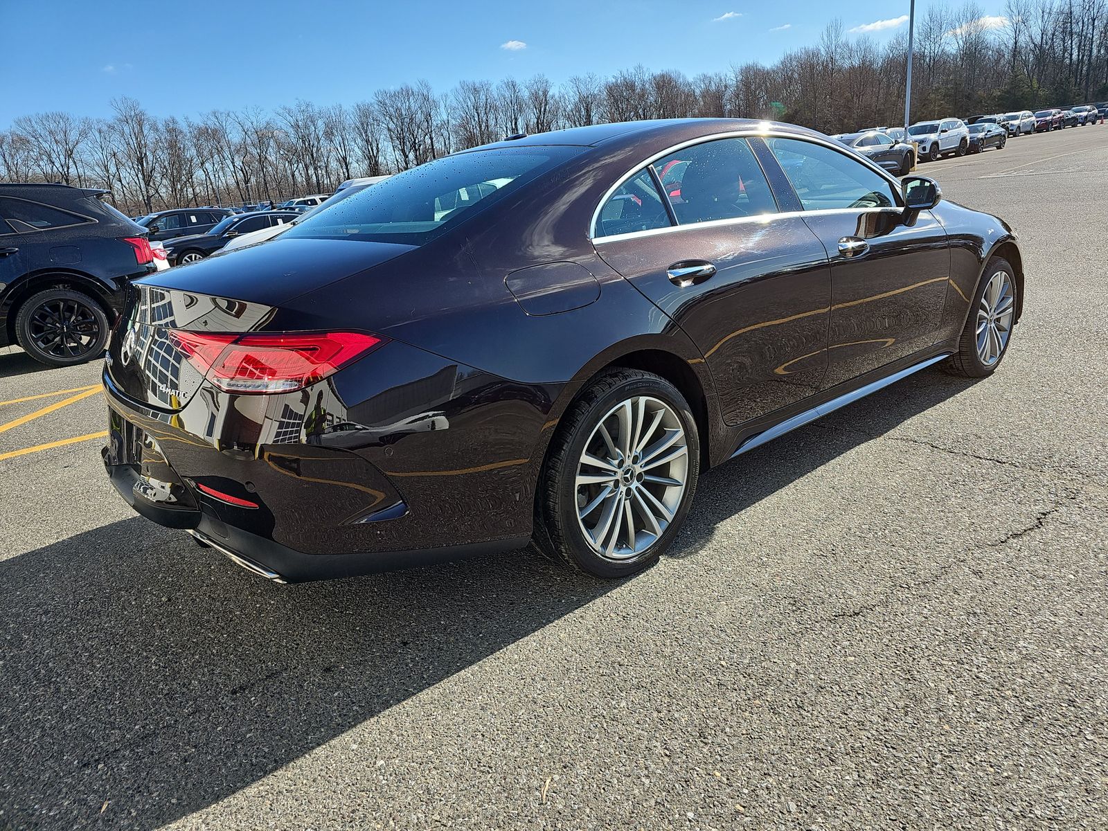 2019 Mercedes-Benz CLS-Class CLS 450 AWD