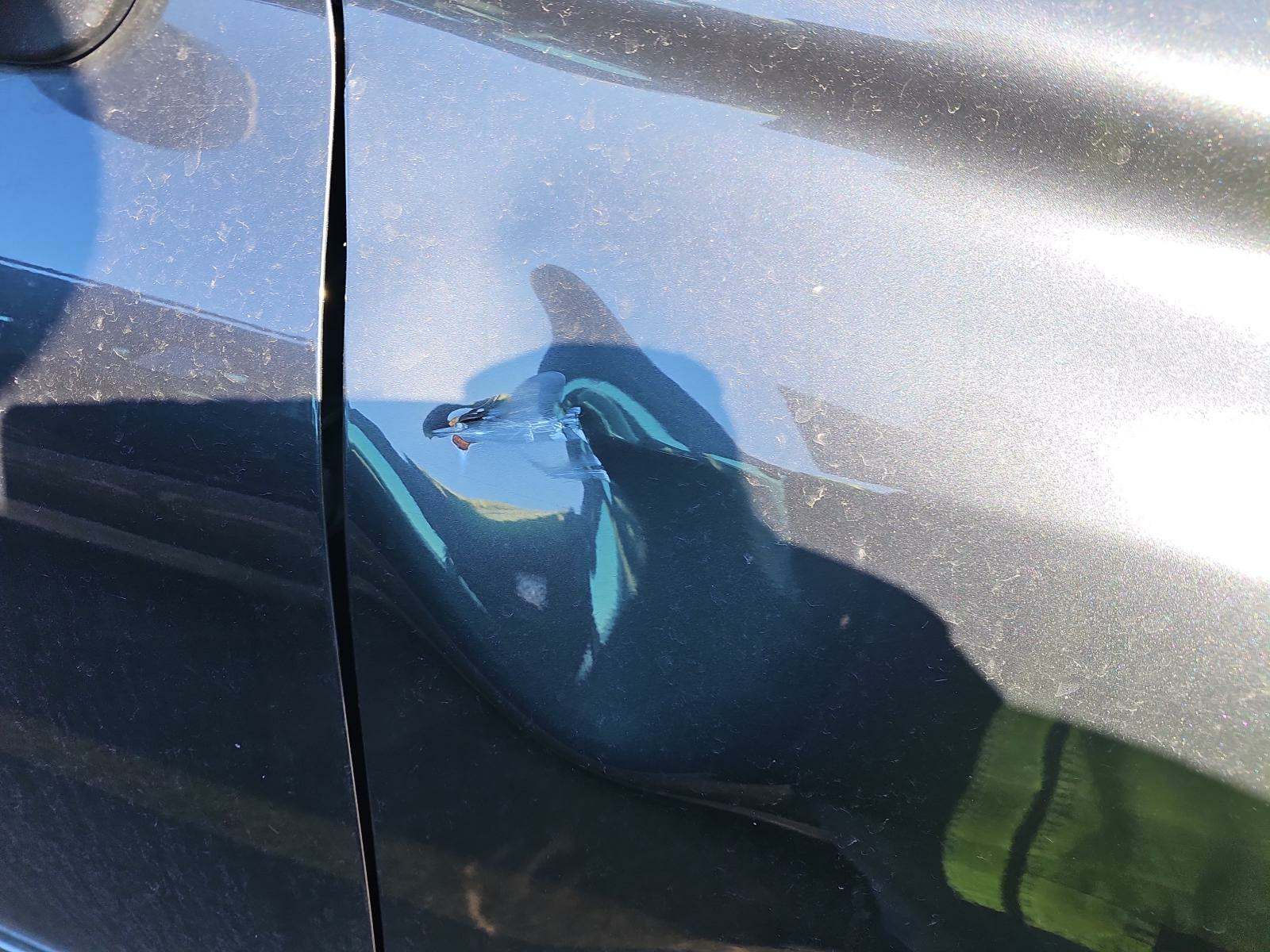 2010 Lexus RX RX 450h AWD