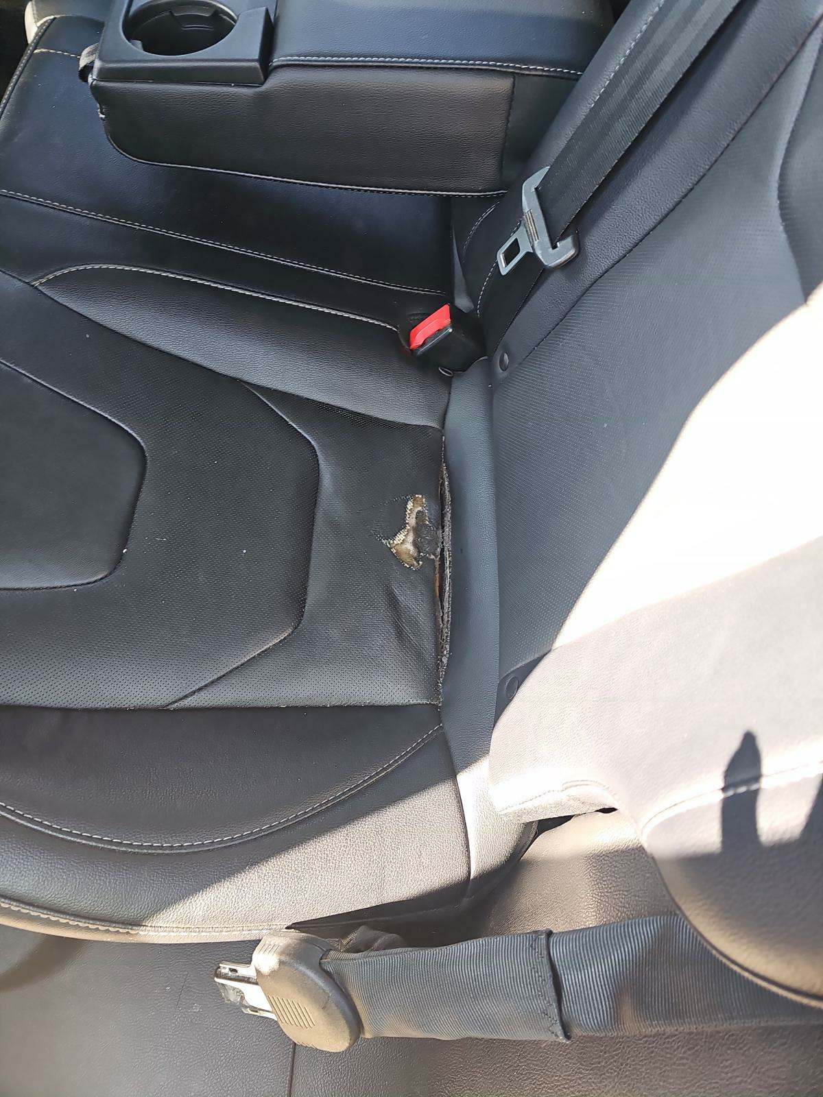2019 Ford Fusion Hybrid Titanium FWD