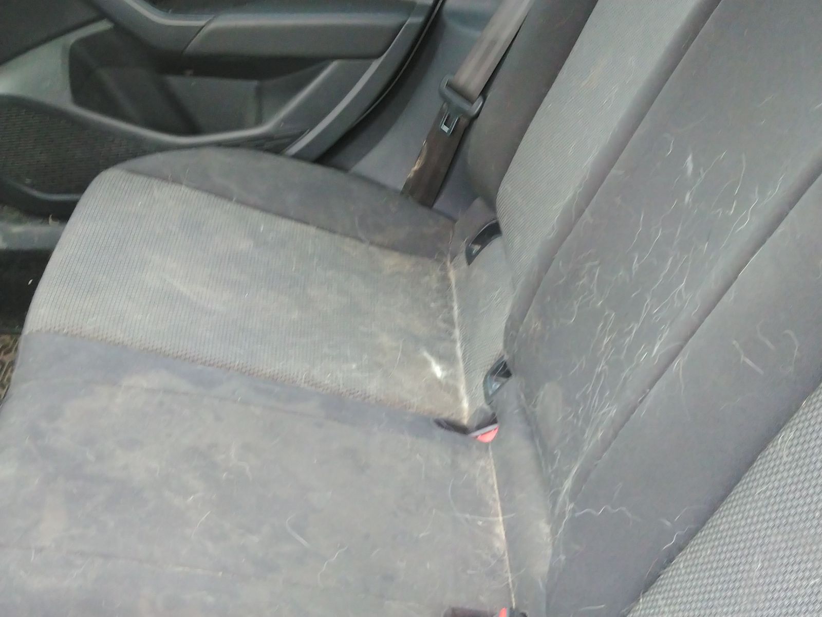 2019 Volkswagen Jetta 1.4T S FWD