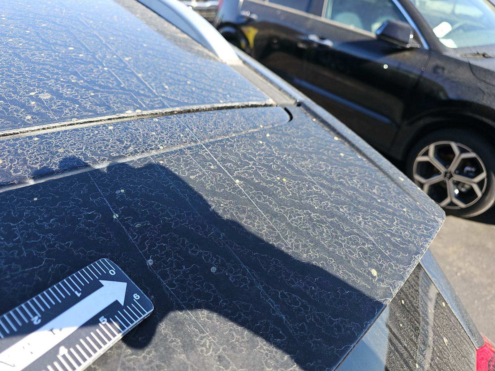 2019 Kia Niro LX FWD