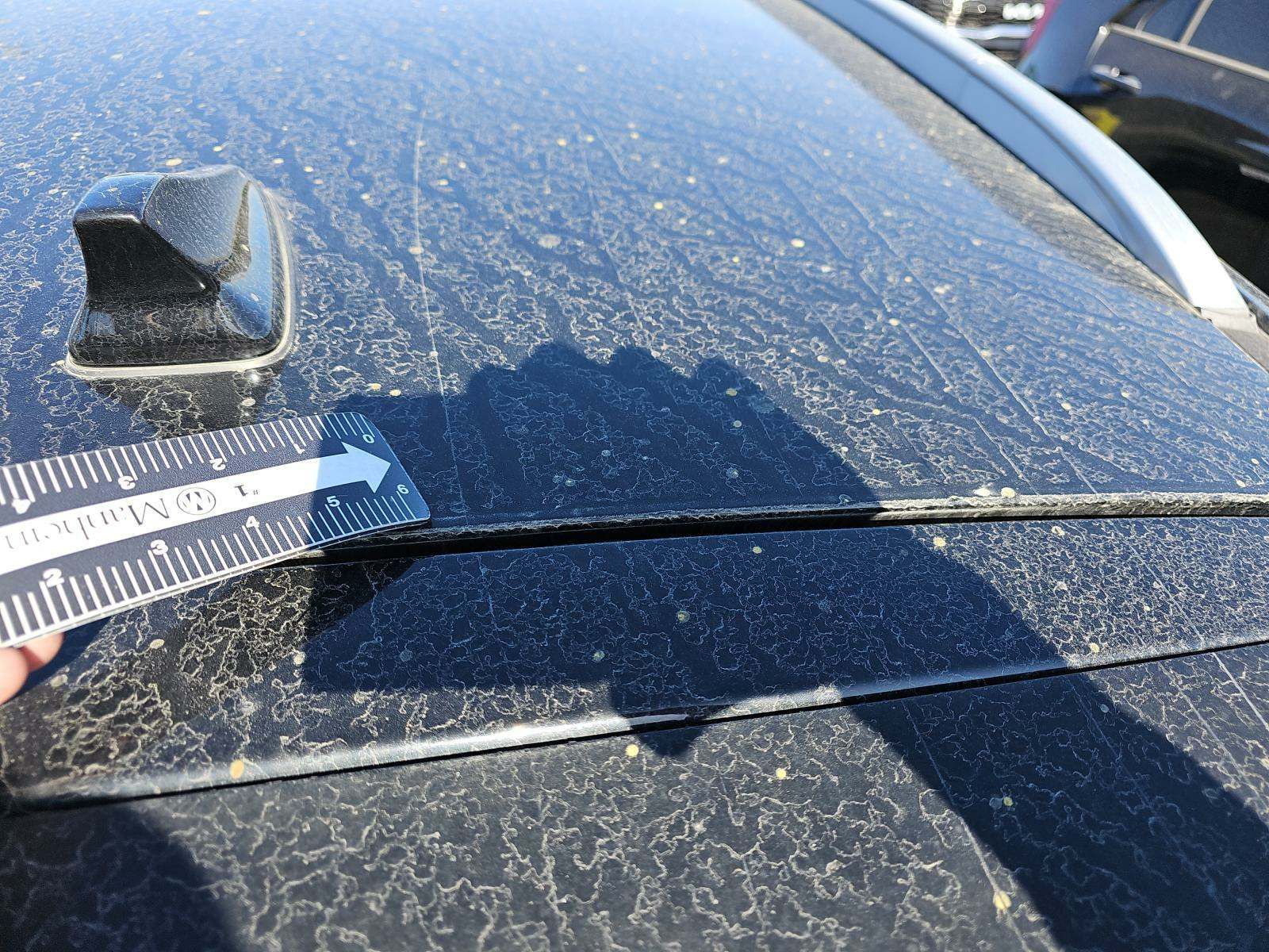 2019 Kia Niro LX FWD