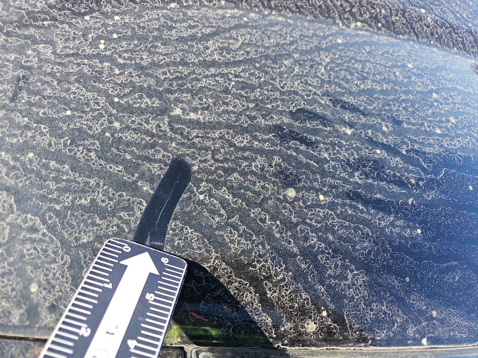 2019 Kia Niro LX FWD