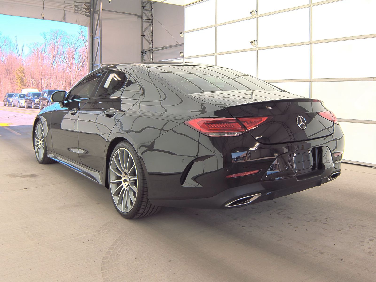 2019 Mercedes-Benz CLS-Class CLS 450 RWD